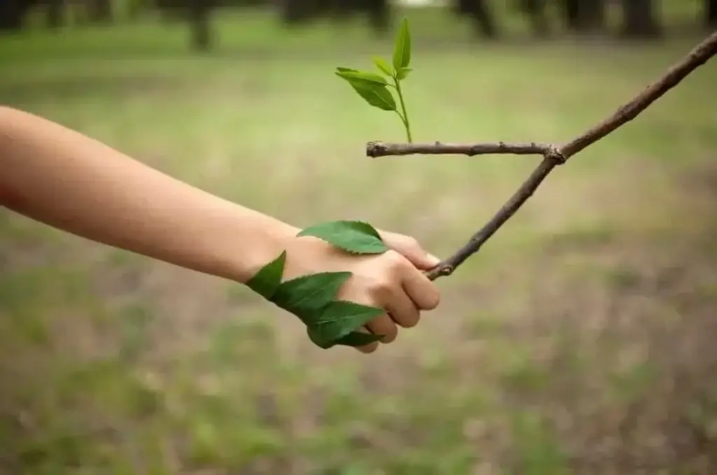 Human hand wrapped in leaves shaking a tree branch, symbolizing harmony and connection between people and nature.
