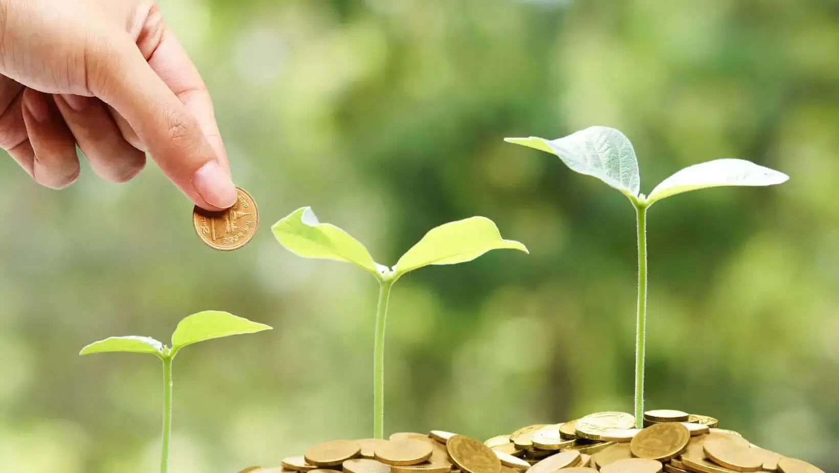 Hand dropping a coin onto growing plants surrounded by coins, symbolizing investment and growth in small business sustainability.