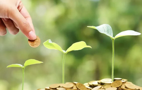 Hand dropping a coin onto growing plants surrounded by coins, symbolizing investment and growth in small business sustainability.
