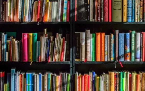 Colorful bookshelf filled with a variety of books for professional and personal growth